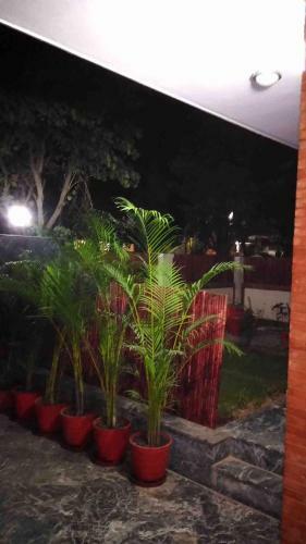 Golden Palm Service Apartments