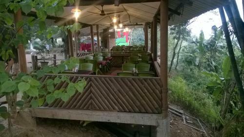 Hotel Brahmaputra Jungle Resort