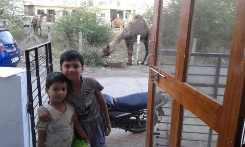 Wow Rooms Homestay