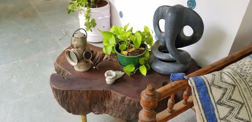 Hostal Summer Garden