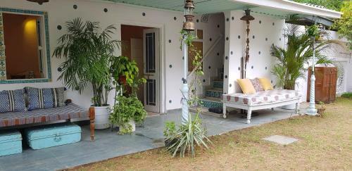 Hostal Summer Garden