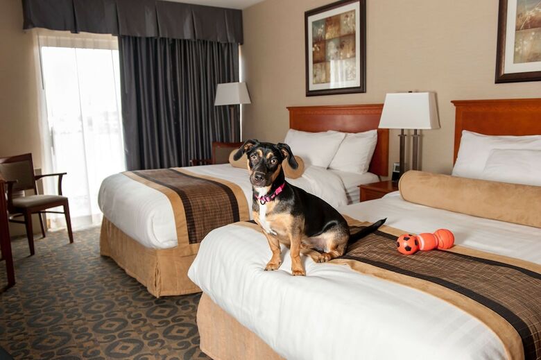 Hotel Best Western Plus Brant Park Inn & Conference Centre
