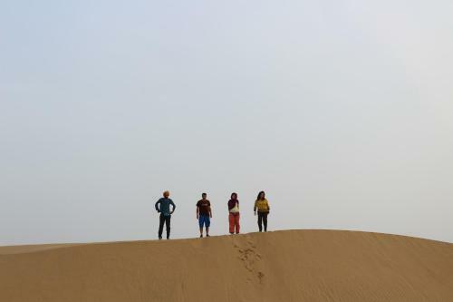 Hostal Desert Cow Guest House
