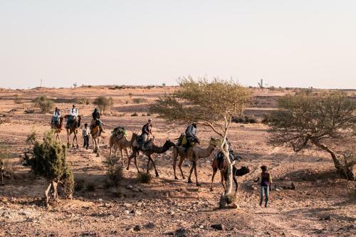Hostal Desert Cow Guest House