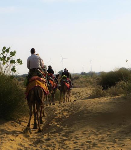 Hostal Desert Cow Guest House