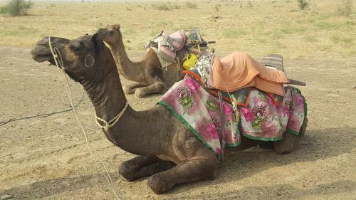 Hostal Desert Guys Guest House