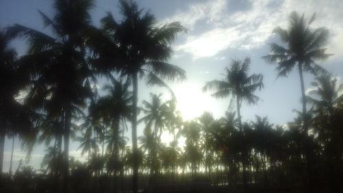 Sea Castle Beach Homestay