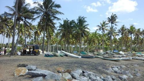 Sea Castle Beach Homestay