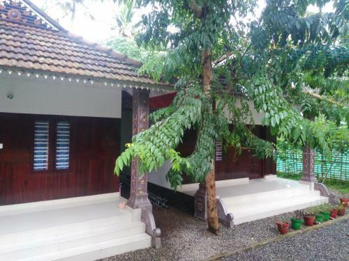Munroe Coconut Homestay