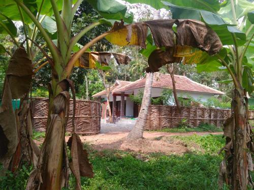 Munroe Coconut Homestay