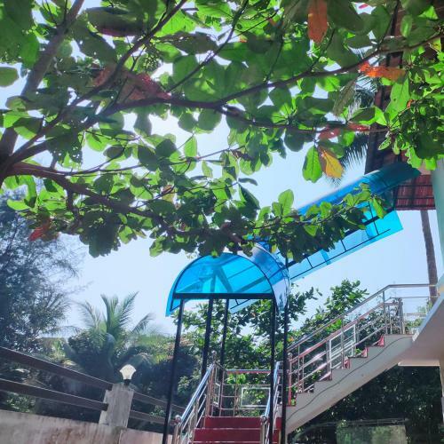 Mango Meadows