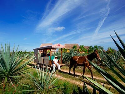 Hotel Boutique Hacienda Viva Sotuta De Pe�n