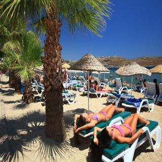 Hotel Magnific