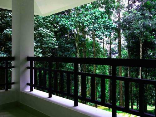 Woodys Estate Stay