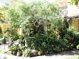 Hotel Harmony Suites