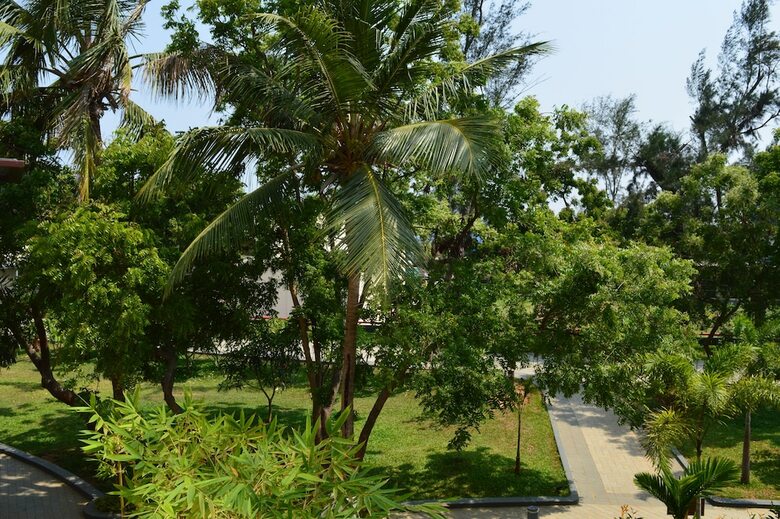Welcomhotel Kences Palm Beach - Member Itc Hotel Group