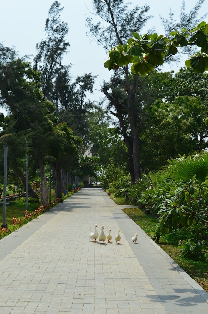 Welcomhotel Kences Palm Beach - Member Itc Hotel Group