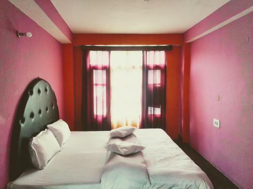 Hotel Antarctica Guest House