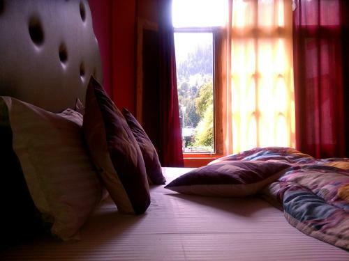 Hotel Antarctica Guest House