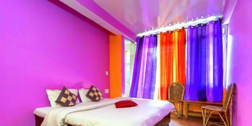Hotel Antarctica Guest House