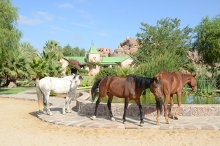Hotel Ca�on Lodge