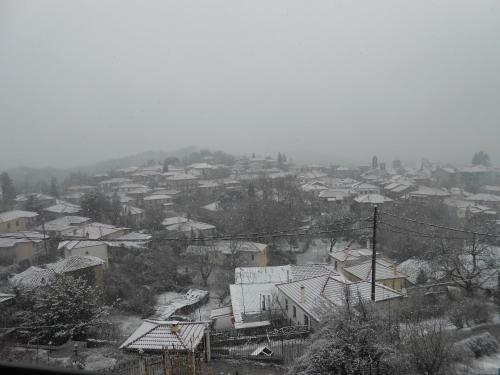 Hostal Guesthouse Panorama