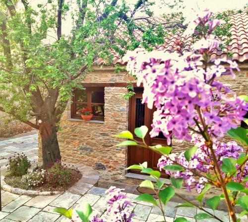 Hostal Paradosiako Saratsi - Traditional Guest House