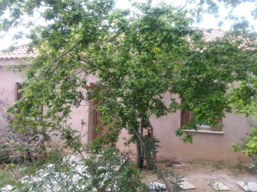 Hostal Paradosiako Saratsi - Traditional Guest House