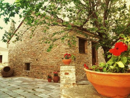 Hostal Paradosiako Saratsi - Traditional Guest House