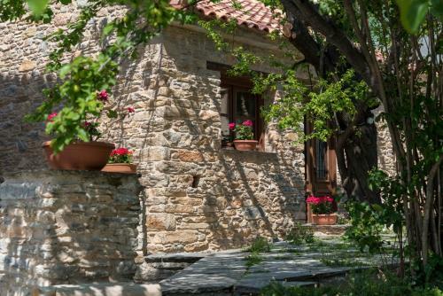 Hostal Paradosiako Saratsi - Traditional Guest House