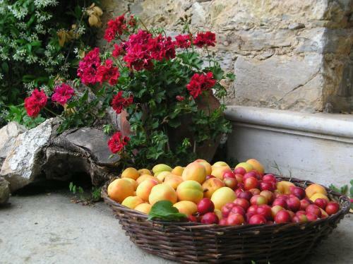 Hostal Paradosiako Saratsi - Traditional Guest House