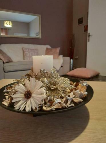 Anna's Friendly Apartment