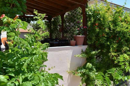 Apartamento Pension Krinelos