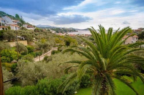 Olive Grove Apartment