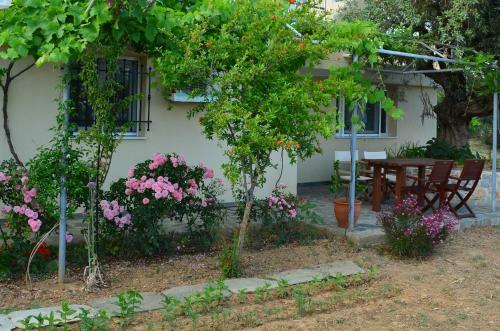 Villas Zoe