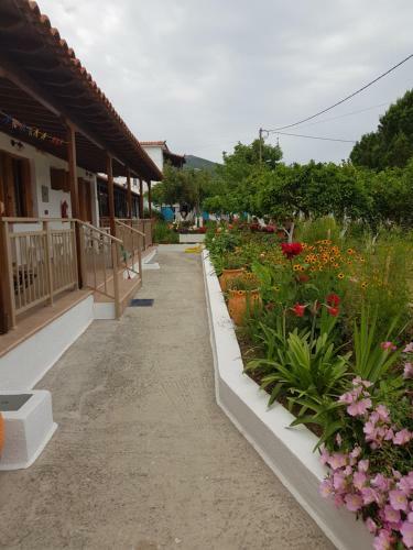 Apartamento Asimina's House