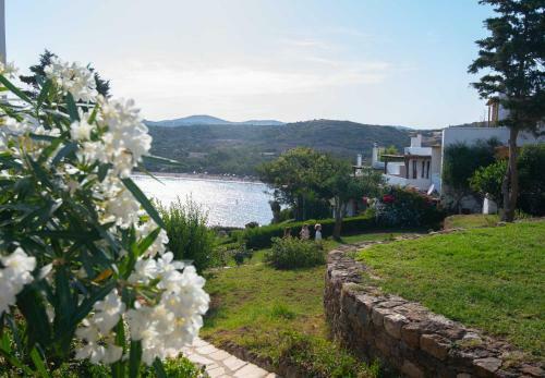 Andrew's House Punta Zeza