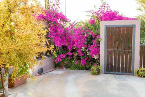 Apartamento Luxury Suites In Stavromenos