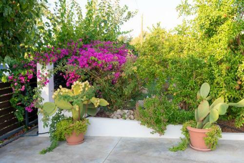 Apartamento Luxury Suites In Stavromenos