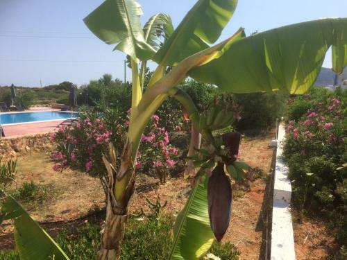 Apartamento Poseidon Suites Hotel