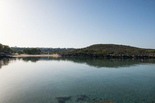 Alianthos Villa
