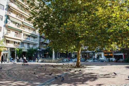 Apartamento Central Maison