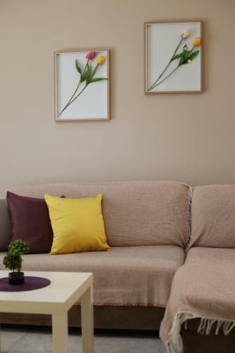 Navarino Square Apartment