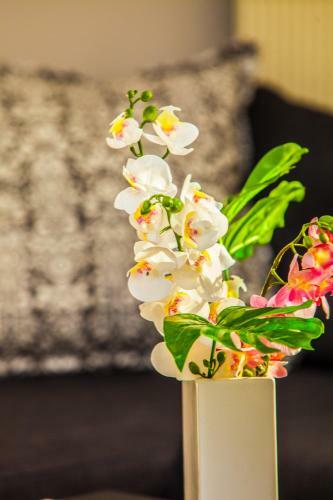 Apartamento Olympic View Gardens