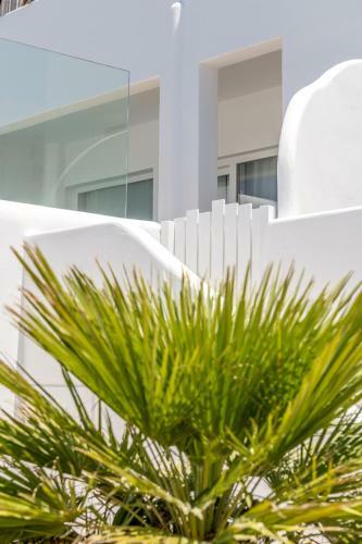 Apartamento Avra Mykonos