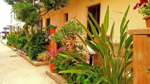 Hotel Vaso Apartments