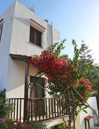 Oliaria Apartments