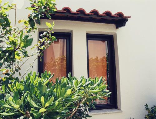 Oliaria Apartments