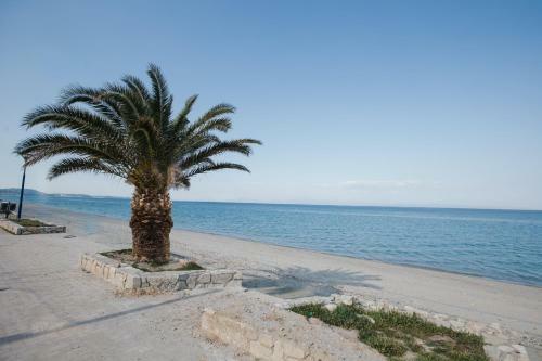 Apartamento Kassandra Studios