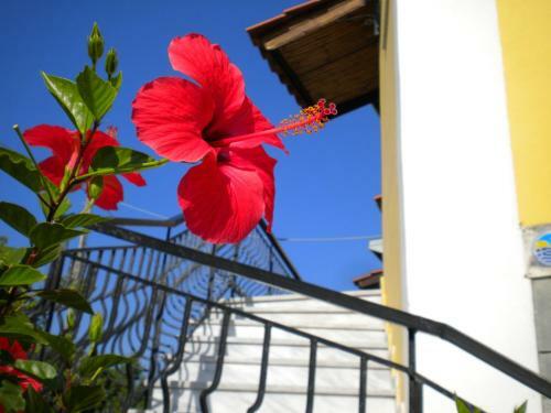 Apartamento Ostria's House